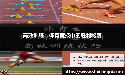 yy易游体育